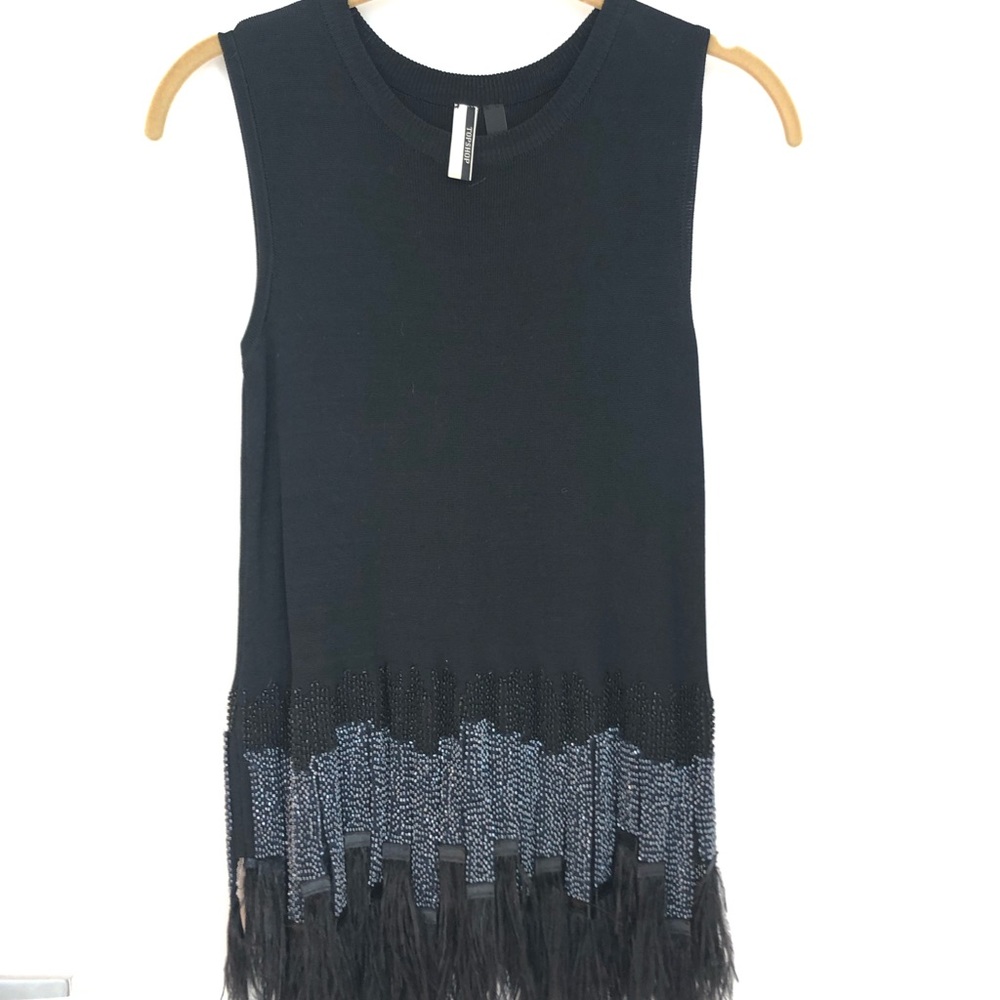 Topshop embroider sleeves top with feathers trim